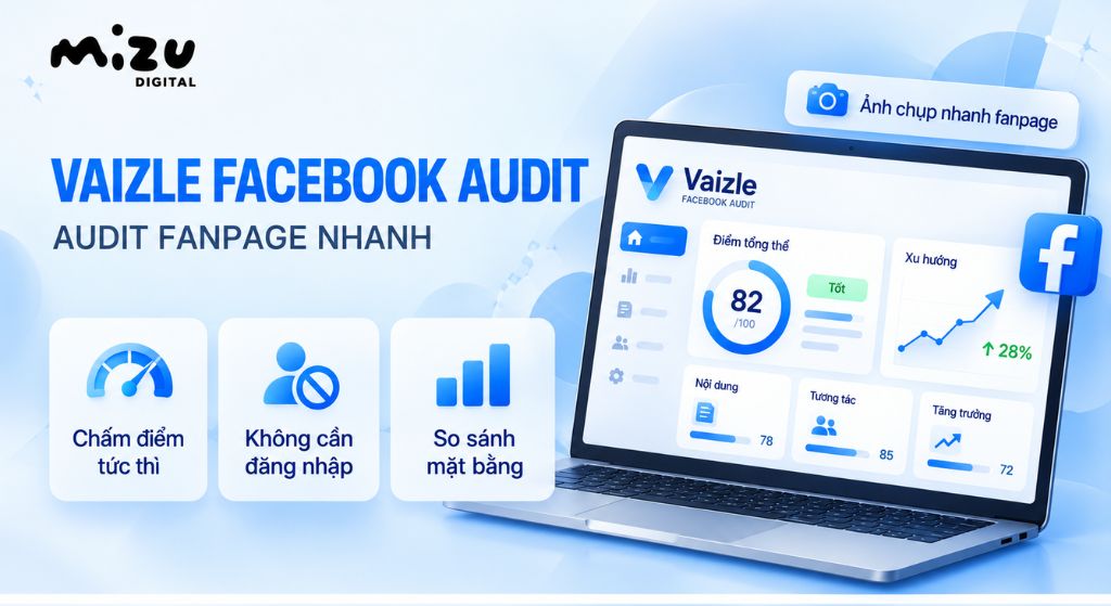 Vaizle Facebook Audit Tool
